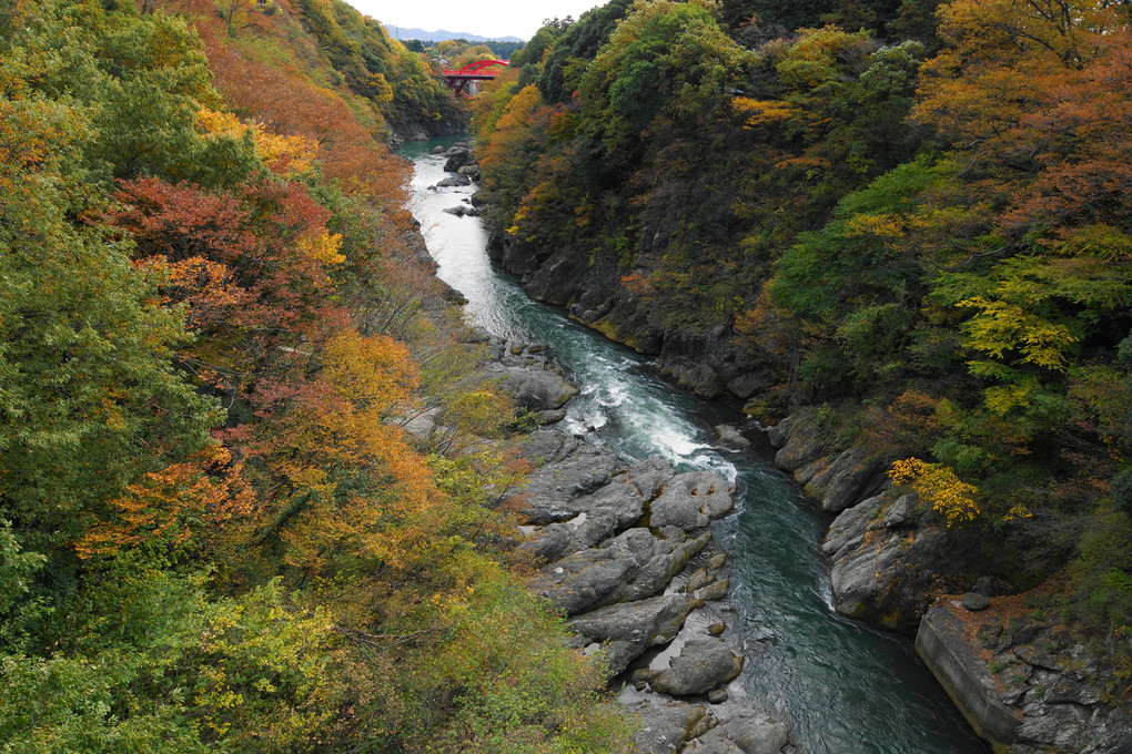 高津戸峡(2012)
