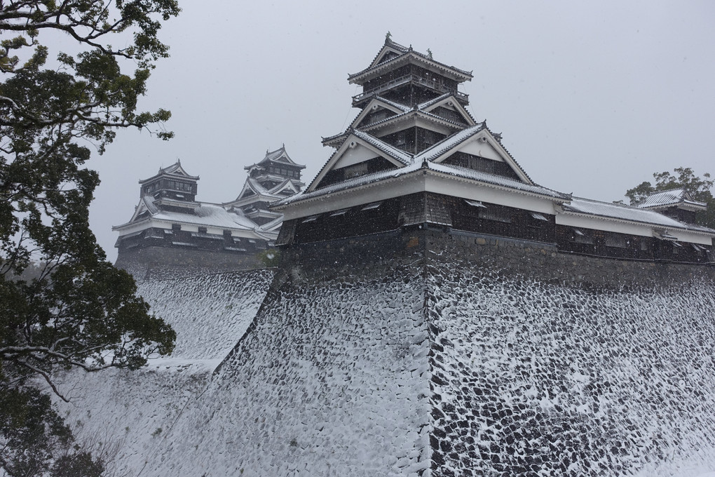 雪化粧の熊本城