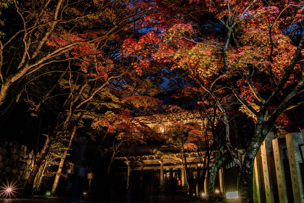 紅葉仏の夜宴