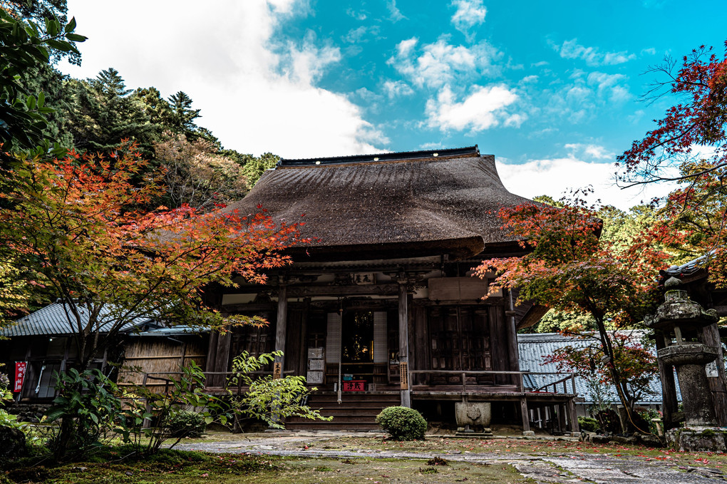 禅寺晩秋