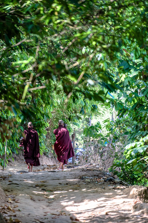 Walking with Buddha