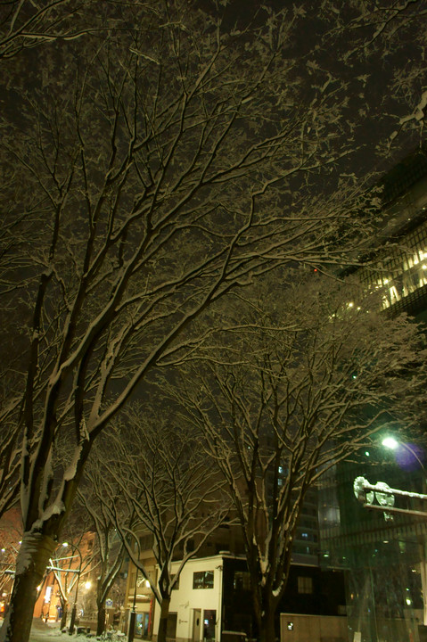 雪の夜