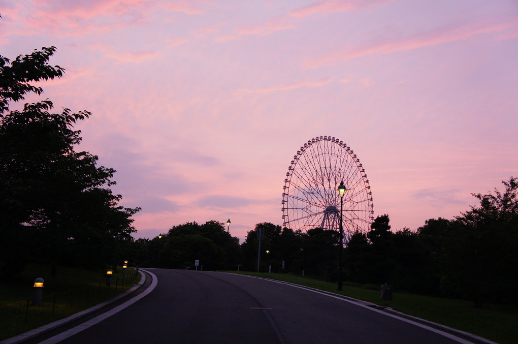 夕暮れの