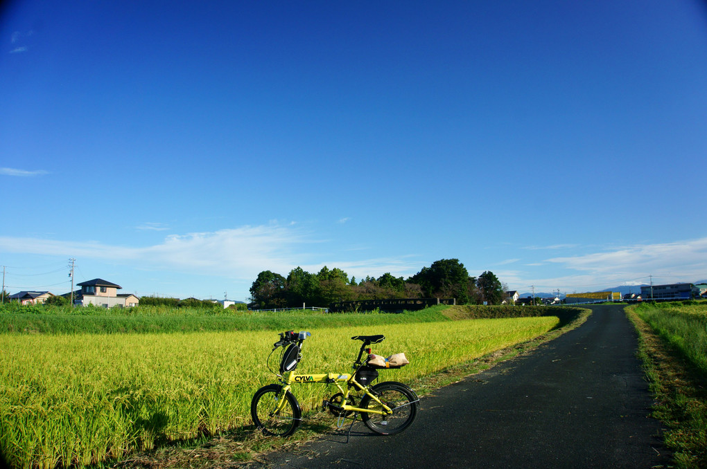 橋と自転車 