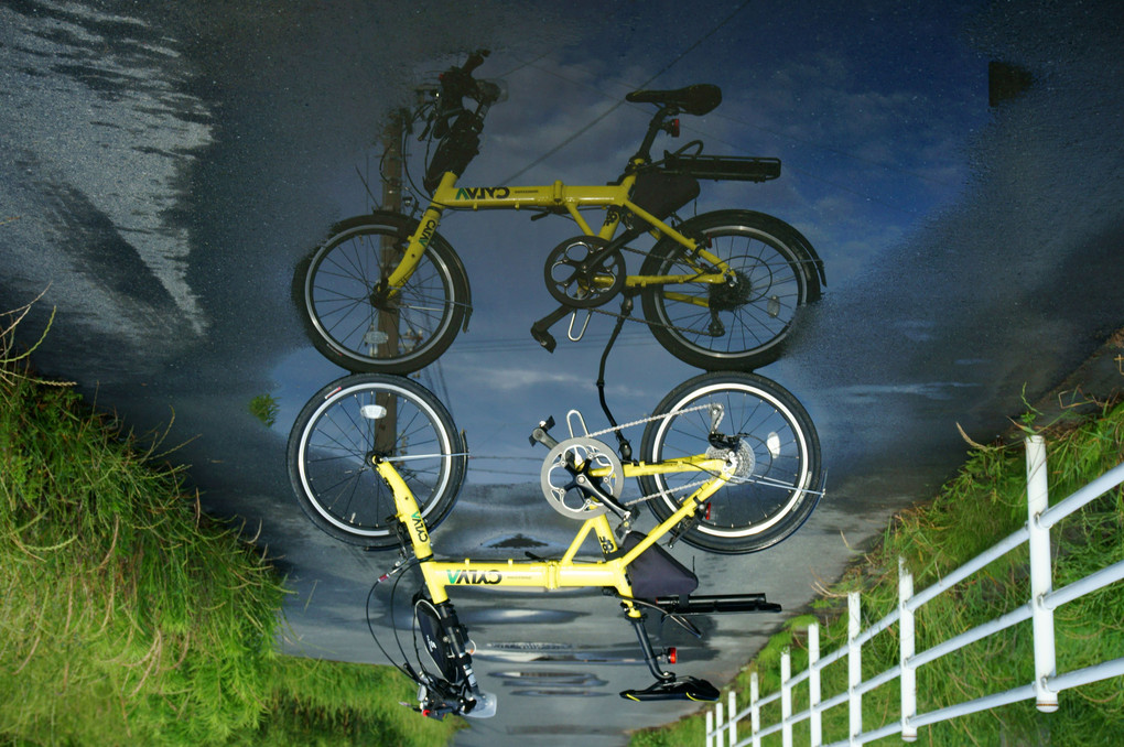 自転車映す水鏡