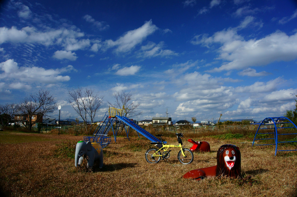 とある公園の年末