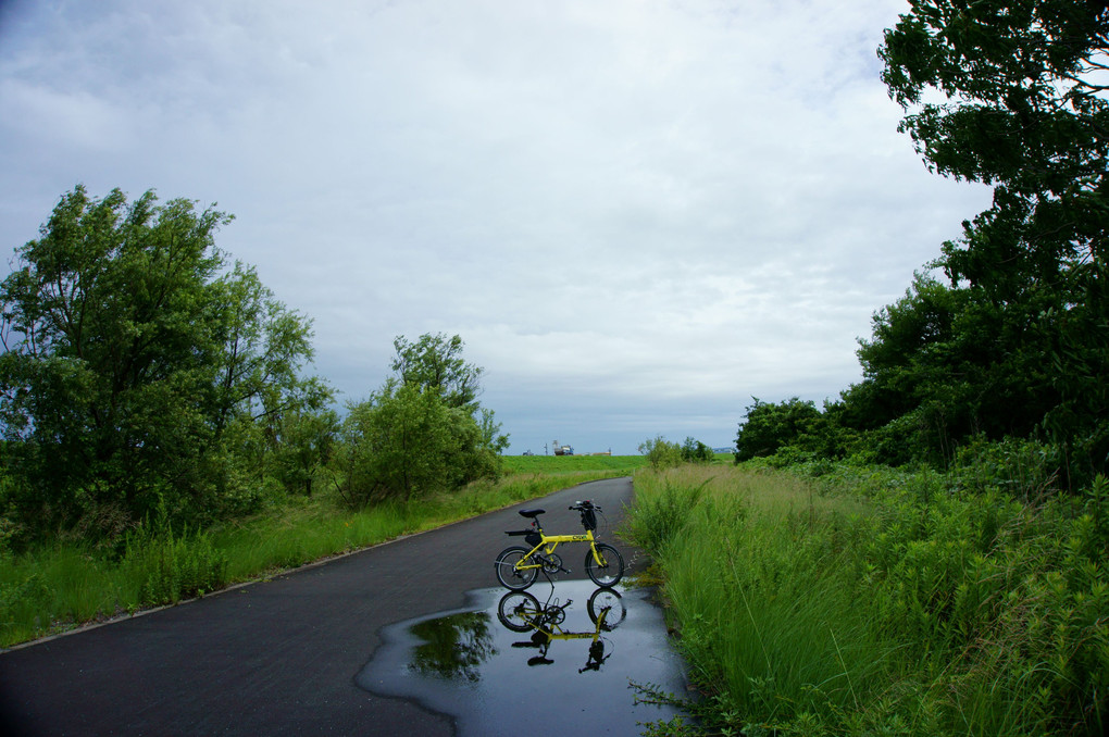 梅雨の自転車道路