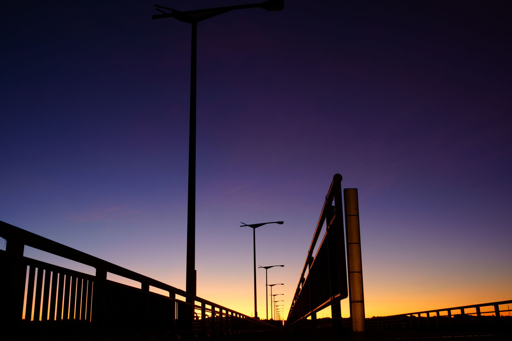 夜明けの橋 907