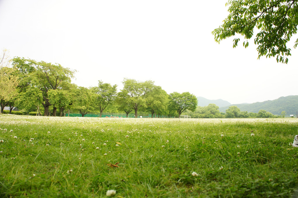 湖畔公園