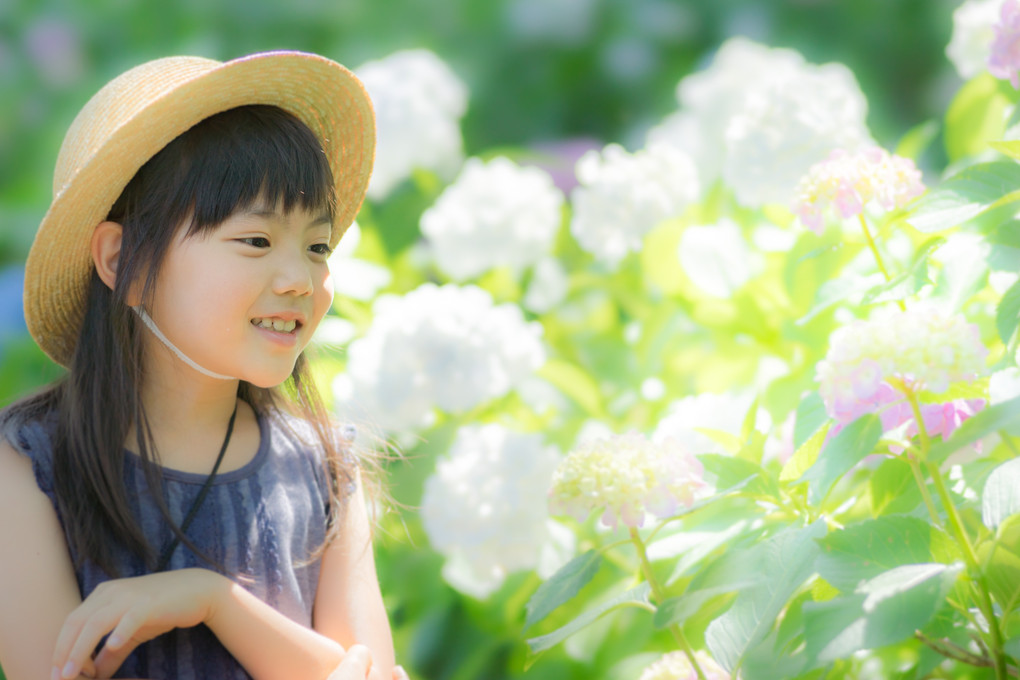 ハイキー紫陽花