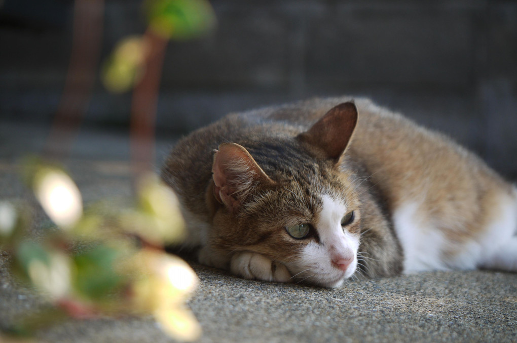 ほ～っと一息・・・