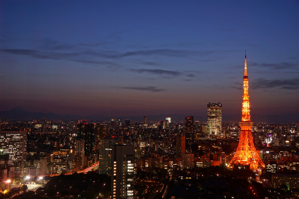 Tokyo Night View （絵画調）