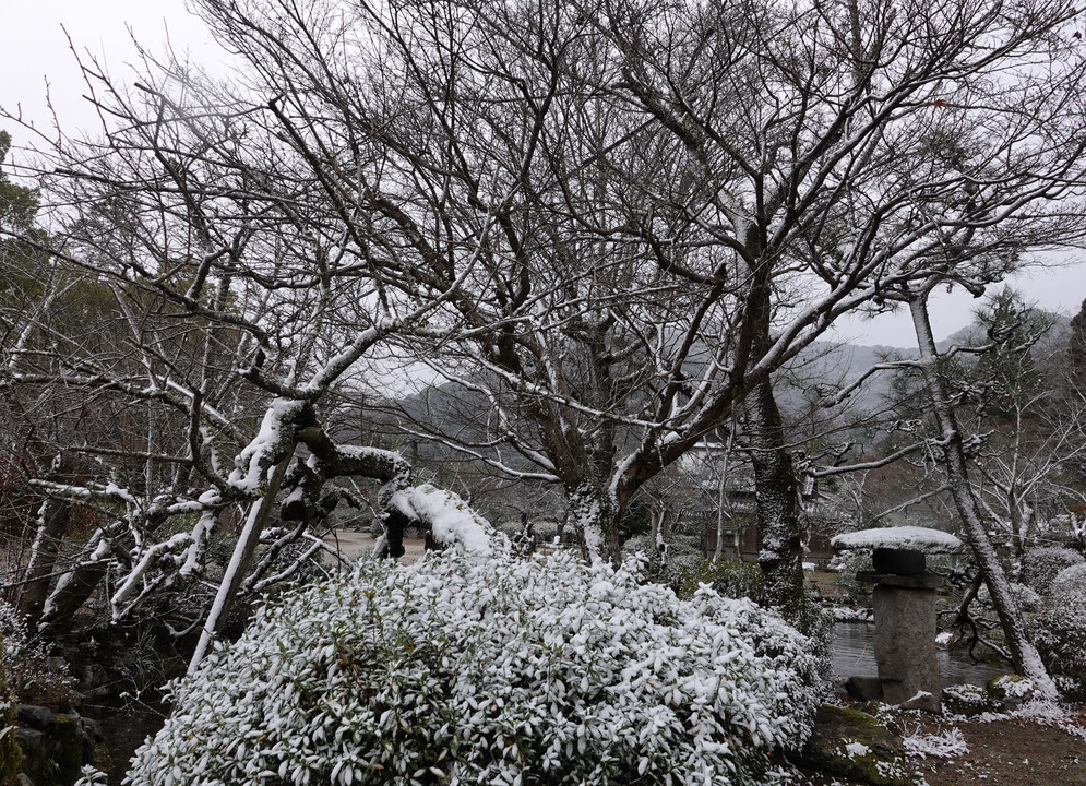 ・・華を思う・・雪のまにまに・・吉香公園～ごそごそ池に・・