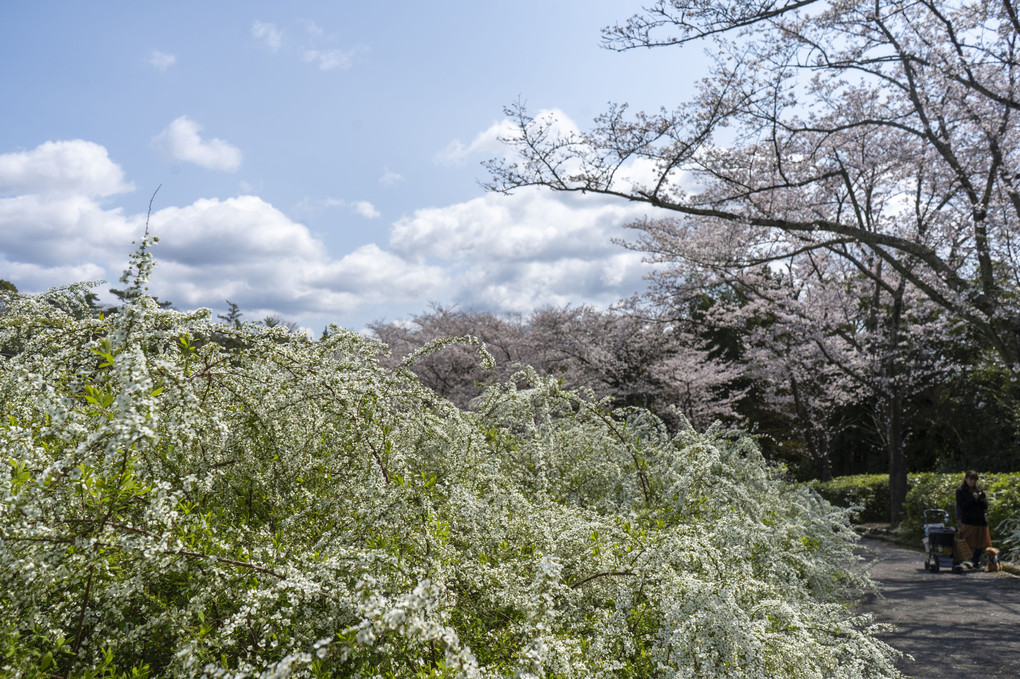 緑化センター(愛知県）