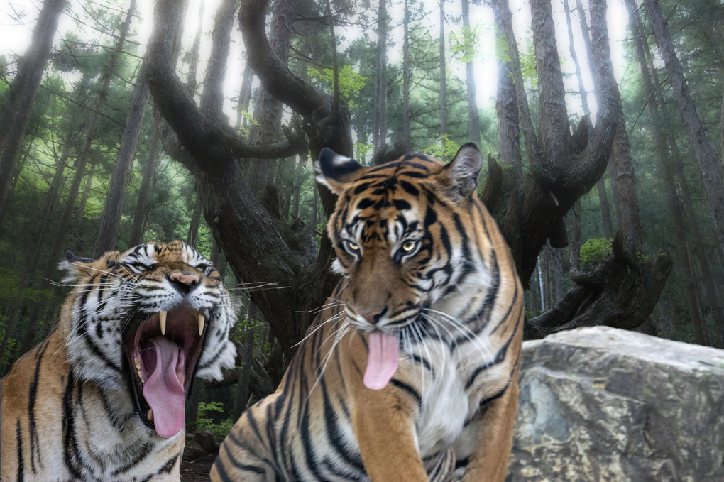 21世紀の森公園にトラ