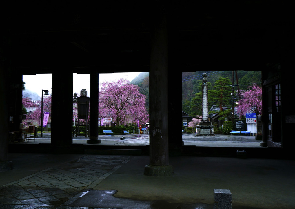 雨と霧の身延山久遠寺