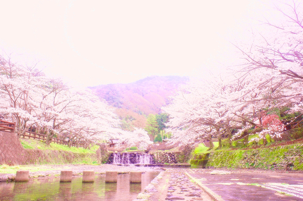 滝のある桜景