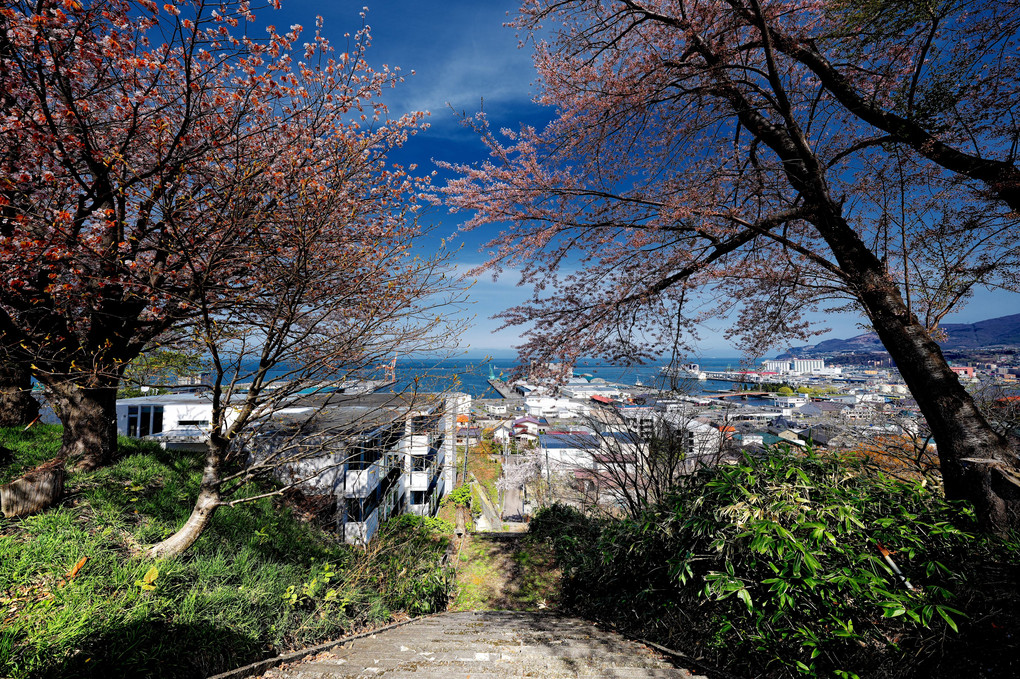 View of the harbor from Foreigner Slope