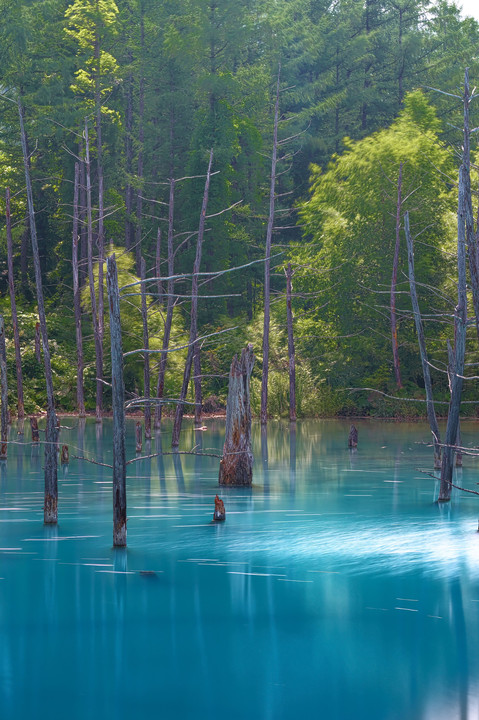 Bluish Pond