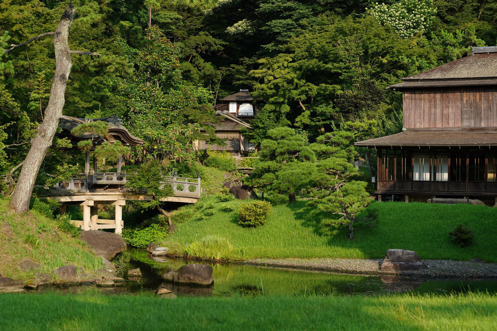 緑の中の日本庭園