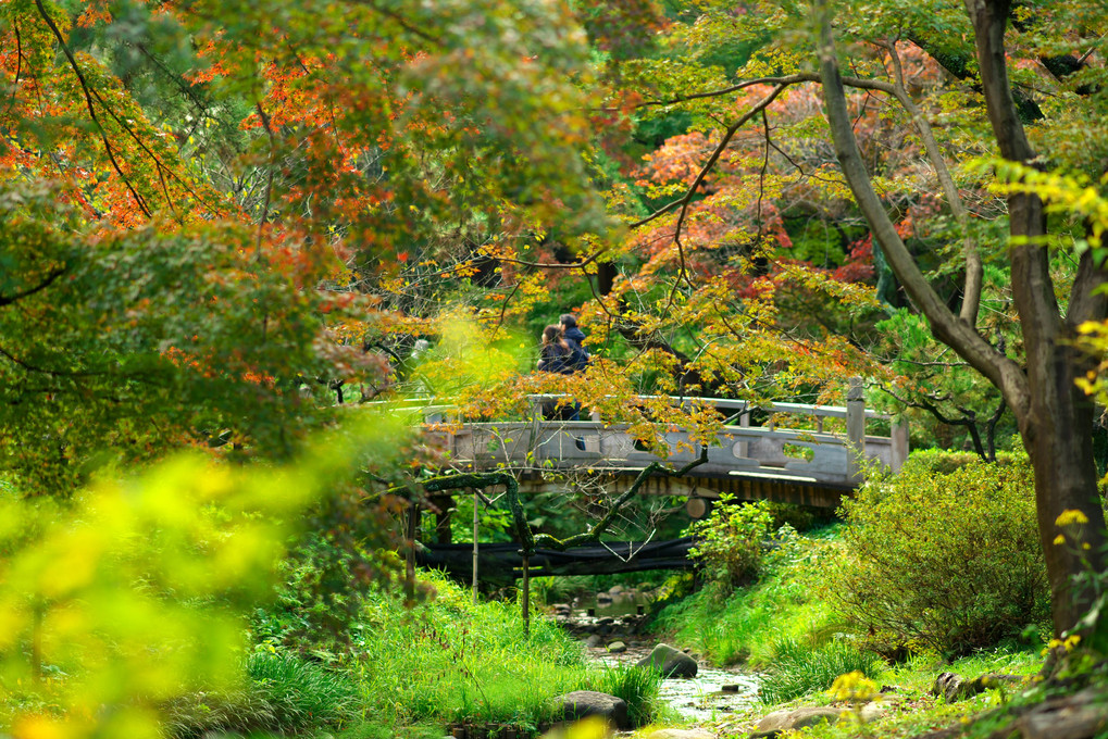 秋色の公園