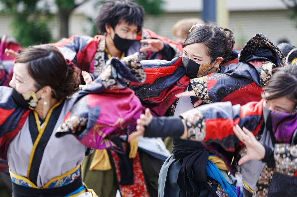 横浜よさこい祭り