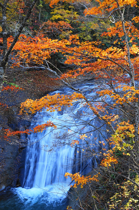 恵庭渓谷　～北海道紅葉の旅