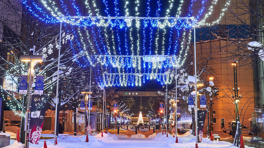 night View asahikawa -旭川-