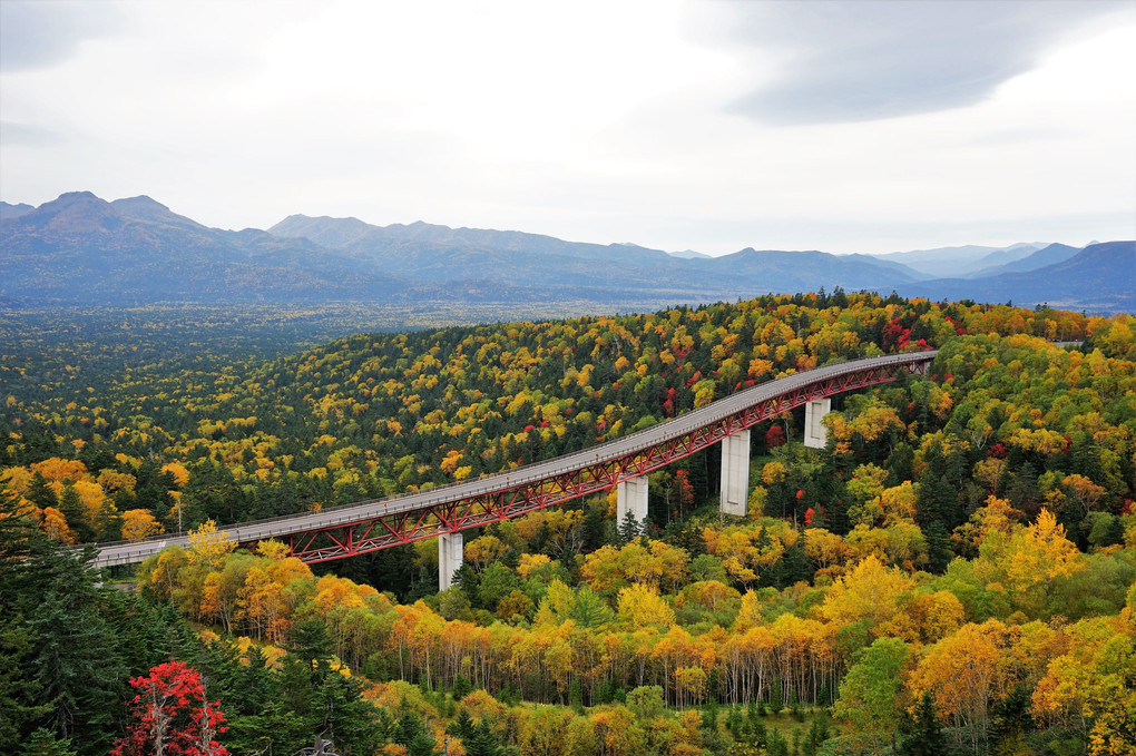 三国峠の秋　北海道