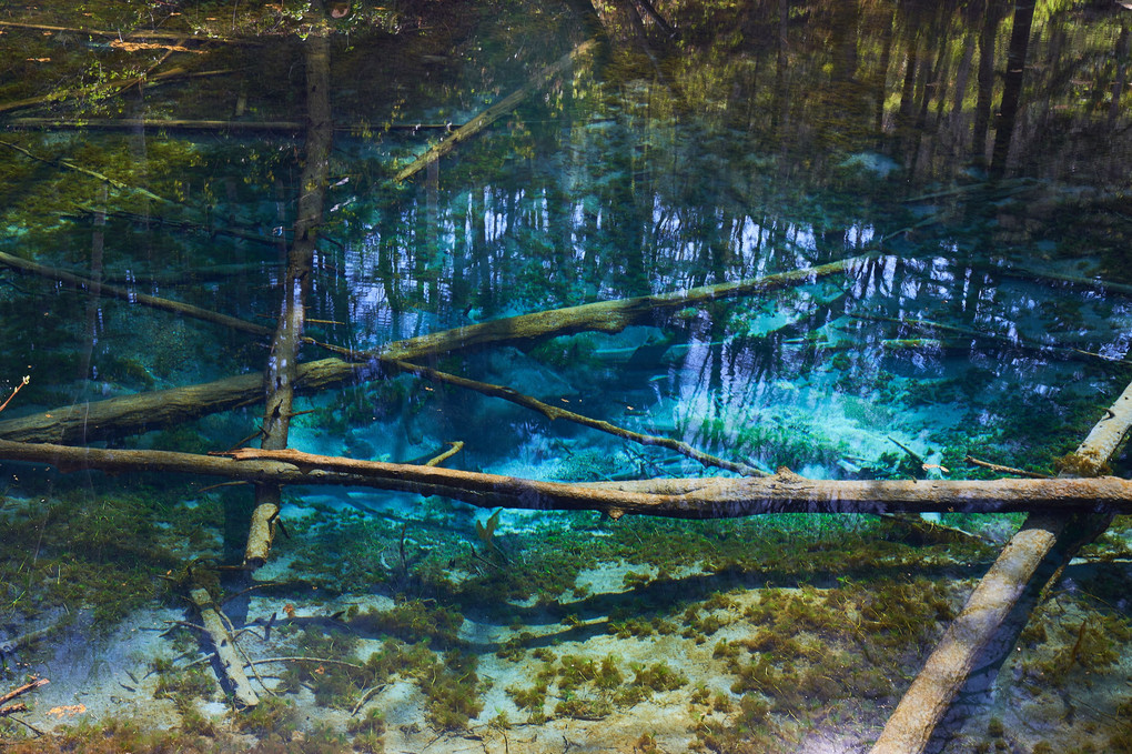北海道　エメラルドブルーの輝き　神の子池