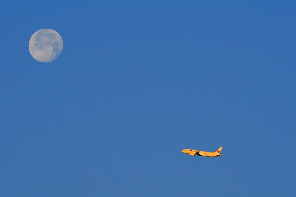 月と飛行機…
