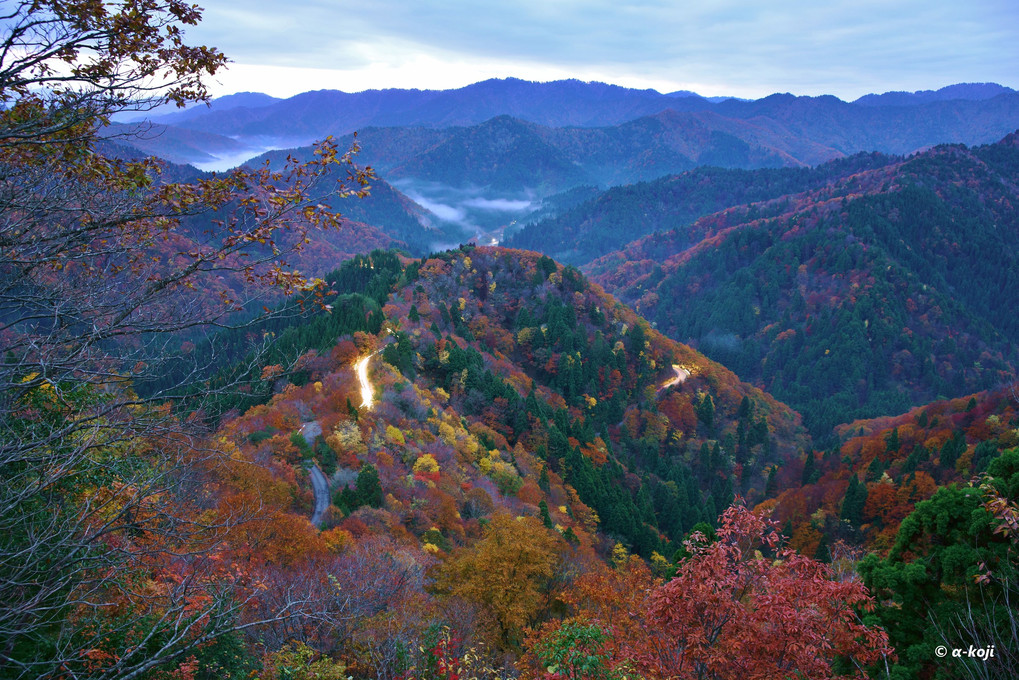 おにゅう峠の雲海と紅葉”時の流れ”