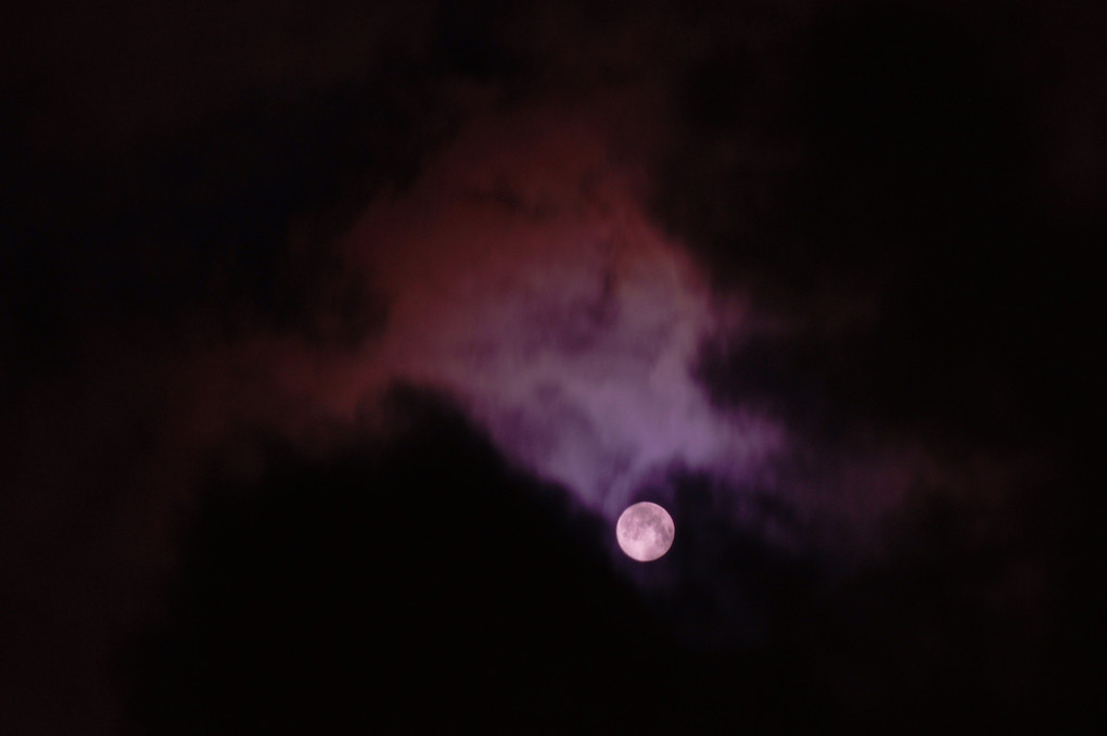 月灯紫雲