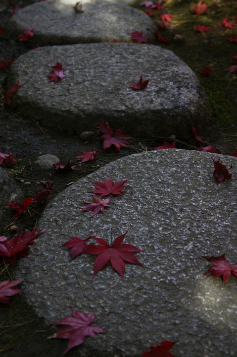 紅葉の石畳　～徳明園～