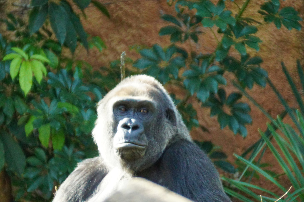 上野動物園