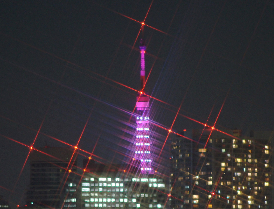 Pink Ribbon Tokyo Tower