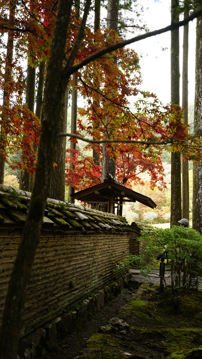 古峰ヶ原神社の紅葉