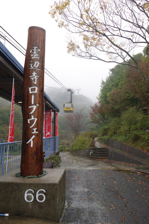 コール徳島店さん　紅葉撮影会