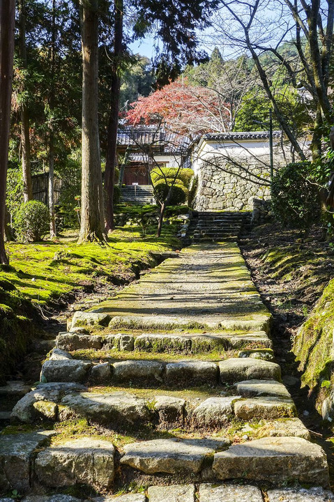 三井寺の紅葉