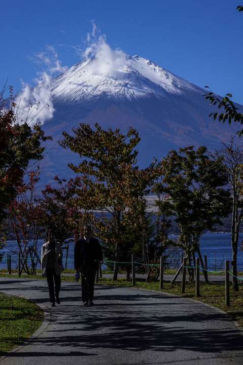 山中湖畔と富士山