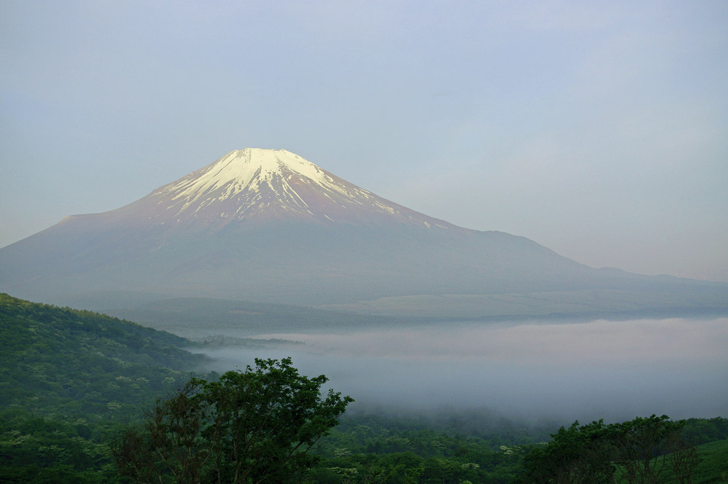 朝靄と富士山