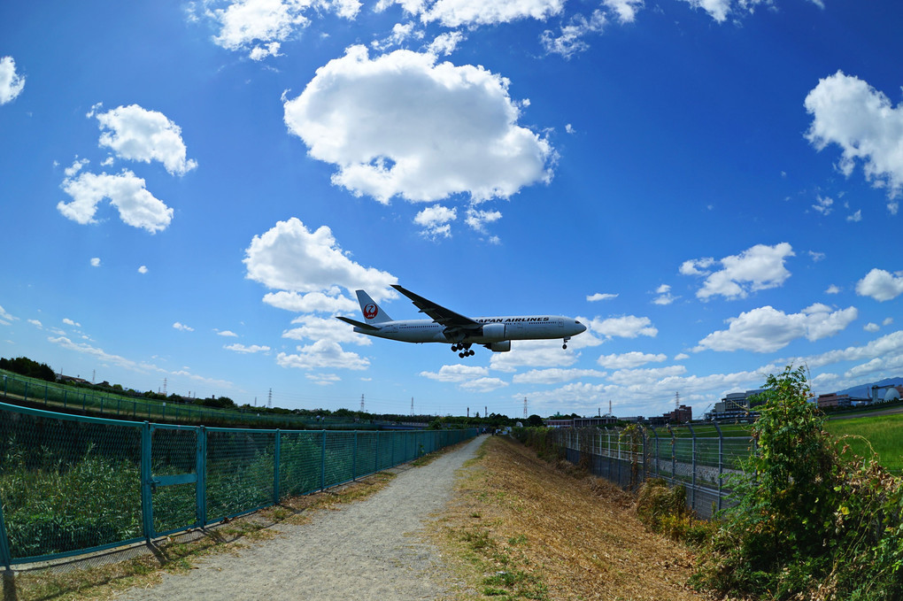 青空に気持ちよく