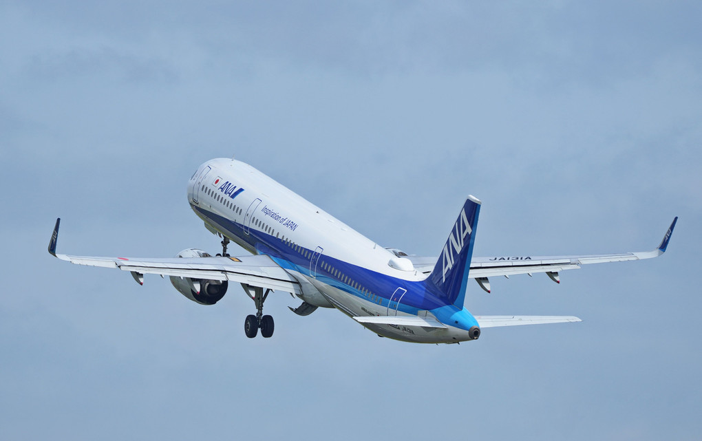 Airbus とDreamlinerの離陸