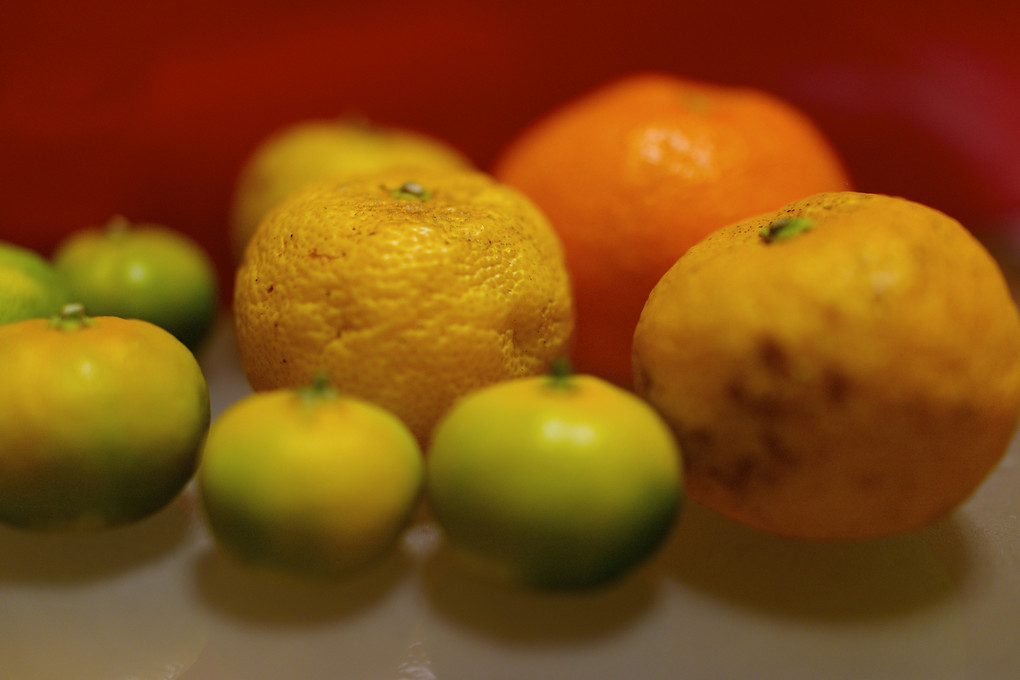 柑橘万歳！