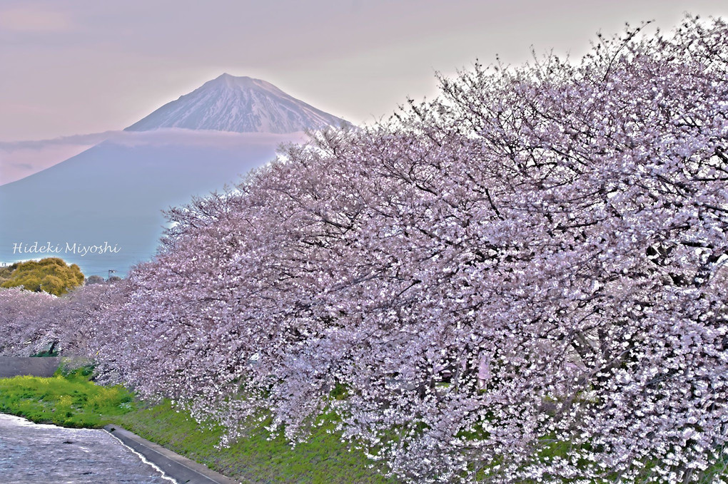 潤井川龍巌淵