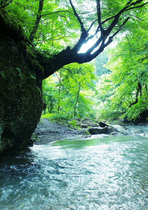 ネコバリ岩