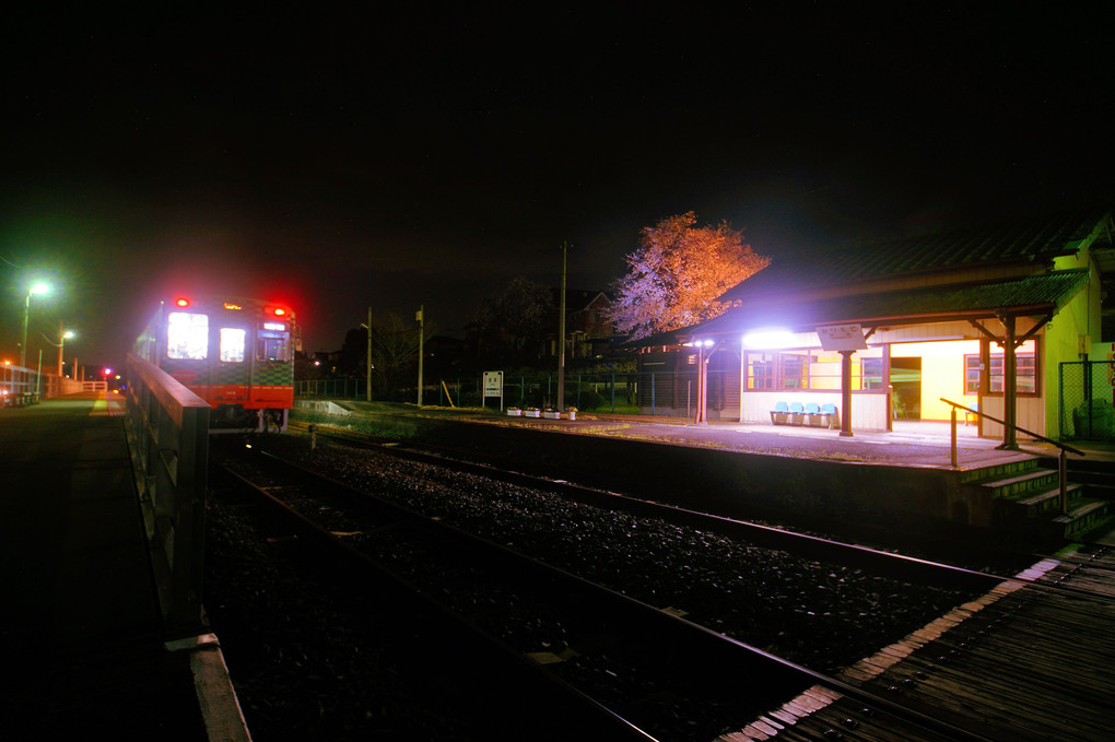 無人駅の夜桜