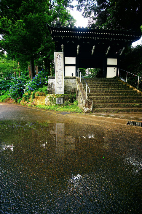 雨の楽法寺