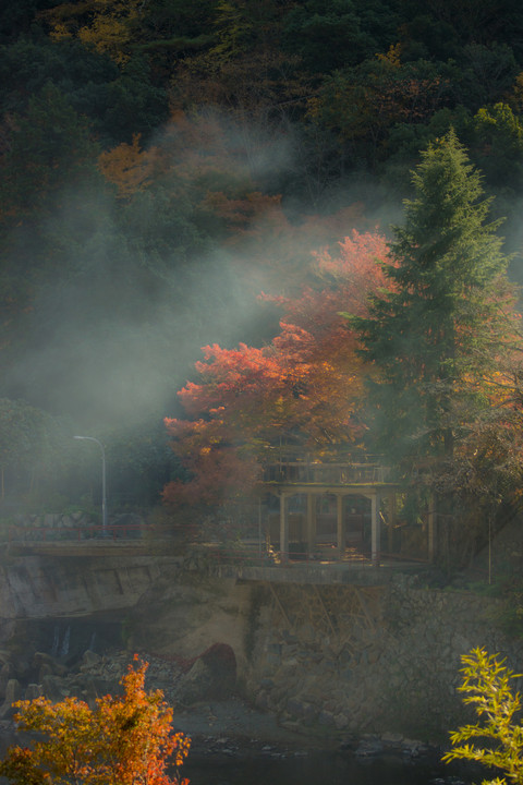 武田尾の紅葉