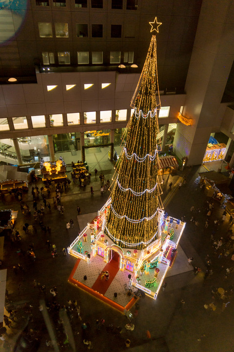 ワンダースクエアのクリスマスツリー